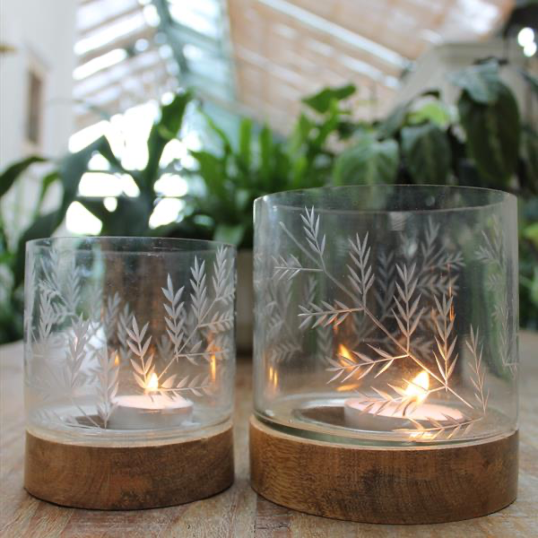 Glass Etched Hurricane Lamp Fern Small
